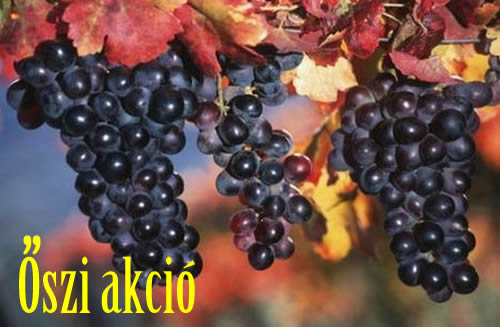 Őszi akció